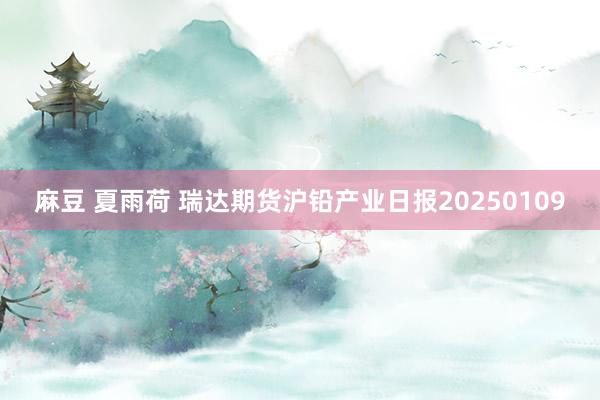 麻豆 夏雨荷 瑞达期货沪铅产业日报20250109