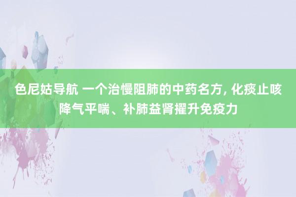 色尼姑导航 一个治慢阻肺的中药名方， 化痰止咳降气平喘、补肺益肾擢升免疫力