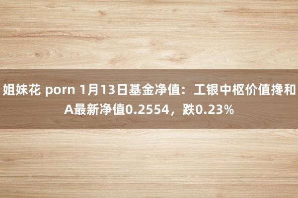 姐妹花 porn 1月13日基金净值：工银中枢价值搀和A最新净值0.2554，跌0.23%