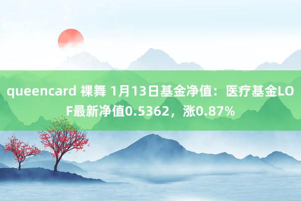 queencard 裸舞 1月13日基金净值：医疗基金LOF最新净值0.5362，涨0.87%